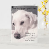 かわいい白い犬のグレーロスオブペット悔やみや弔慰 カード (黄色い花)