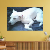かわいい白い犬の眠っている美しい写真 キャンバスプリント (インサイチュ (リビング))