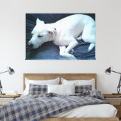 かわいい白い犬の眠っている美しい写真 キャンバスプリント (インサイチュ (寝室))