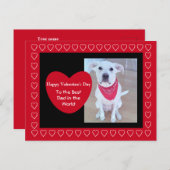 かわいい白い犬、耳おもしろいの赤いハート ポストカード (正面/裏面)