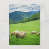 かわいい白い羊と絵のような山 シーズンポストカード (正面)