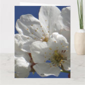 かわいい白い花折りグリーティングカード カード (裏面)