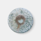 かわいい白い蒲公英 マグネット (正面)