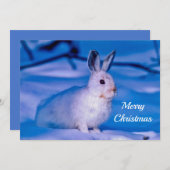 かわいい白うさぎ雪フォトクリスマスフラット シーズンカード (正面/裏面)