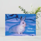 かわいい白うさぎ雪フォトクリスマスフラット シーズンカード (スタンド正面)