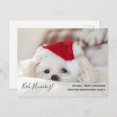 かわいい白おもしろいい犬のクリスマス·バ·ハンブ シーズンポストカード (正面/裏面)