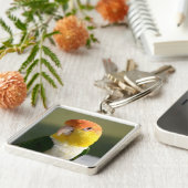 かわいい白によって膨らまされるシロハラインコのオウム キーホルダー (側面)