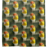 かわいい白によって膨らまされるシロハラインコのオウム シャワーカーテン