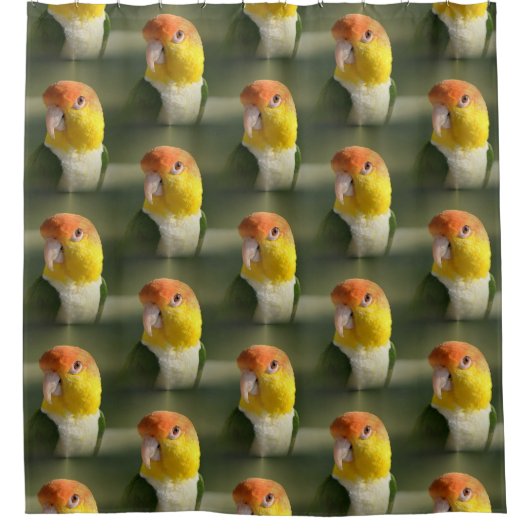 かわいい白によって膨らまされるシロハラインコのオウム シャワーカーテン (正面)