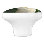 かわいい白によって膨らまされるシロハラインコのオウム セラミックノブ (側面)