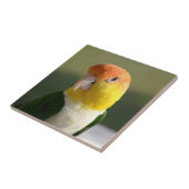 かわいい白によって膨らまされるシロハラインコのオウム タイル (側面)