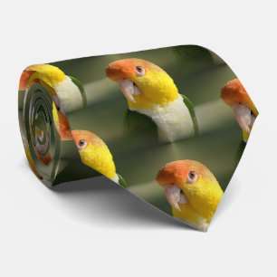 かわいい白によって膨らまされるシロハラインコのオウム ネクタイ