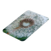 かわいい白のタンポポ マグネット (左側)