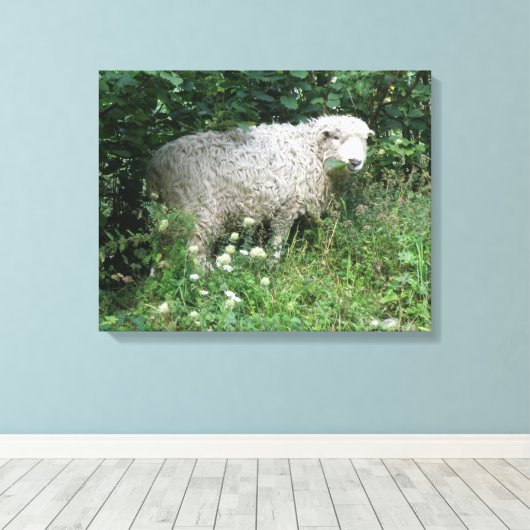 かわいい白ふわふわの羊食べのキャンバス印刷 キャンバスプリント (インサイチュ (ウッドフロア))