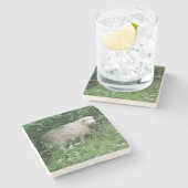 かわいい白ふわふわの羊食べの石のコースター ストーンコースター (横)