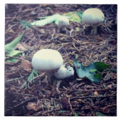 かわいい白キノコ タイル (正面)