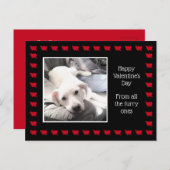 かわいい白犬と友達最高ののパパ ポストカード (正面/裏面)