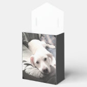 かわいい白犬のぶら下がったパパ姿の写真 フェイバーボックス (オープン)