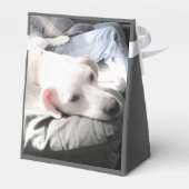 かわいい白犬のぶら下がったパパ姿の写真 フェイバーボックス (裏面サイド)