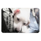 かわいい白犬のぶら下がったパパ姿の写真 マグネット (横)