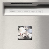 かわいい白犬のぶら下がったパパ姿の写真 マグネット (インサイチュ (食洗機))