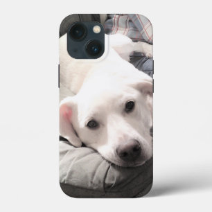 かわいい白犬のぶら下がったパパ姿の写真 iPhone 13 MINIケース