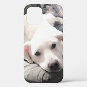 かわいい白犬のぶら下がったパパ姿の写真 Case-Mate iPhoneケース (裏面)