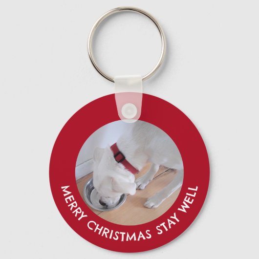 かわいい白犬の写真健康メリークリスマスレッド キーホルダー (正面)