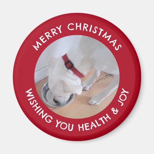 かわいい白犬の写真健康メリークリスマスレッド マグネット (正面)