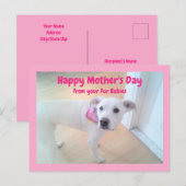 かわいい白犬の母の日の写真 ポストカード (正面/裏面)