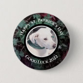 かわいい白犬の緑のシャムロッククローバーの写真 缶バッジ (正面)