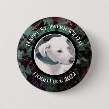 かわいい白犬の緑のシャムロッククローバーの写真