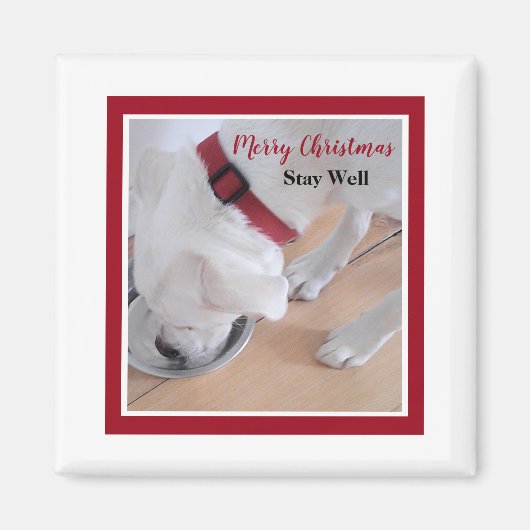 かわいい白犬の飲み水レッドクリスマスススススクエア マグネット (正面)