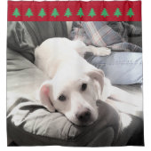 かわいい白犬赤いクリスマスツリーの写真 シャワーカーテン (正面)