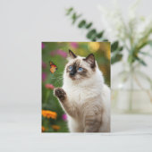 かわいい白猫バタフライブルーアイポストカード ポストカード (スタンド正面)