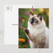 かわいい白猫バタフライブルーアイポストカード ポストカード (正面/裏面)