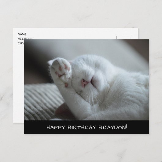 かわいい白猫誕生日はがき ポストカード (正面/裏面)