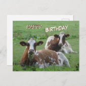 かわいい白茶色の牛の誕生日ポストカード ポストカード (正面/裏面)