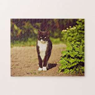 かわいい白黒のタキシード猫写真 ジグソーパズル