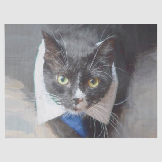 かわいい白黒の切り離し 薄葉紙 (正面)