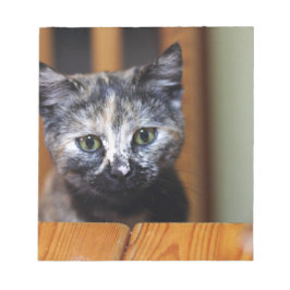 かわいい白黒の子猫 ノートパッド