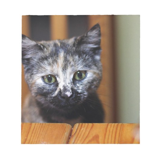 かわいい白黒の子猫 ノートパッド (正面)