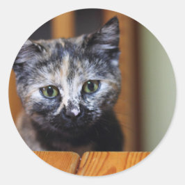 かわいい白黒の子猫 ラウンドシール