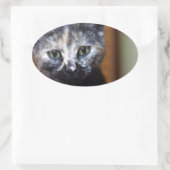 かわいい白黒の子猫 楕円形シール (バッグ)