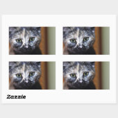 かわいい白黒の子猫 長方形シール (シート)