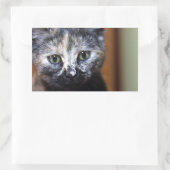 かわいい白黒の子猫 長方形シール (バッグ)