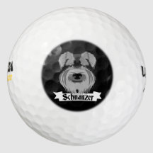 かわいい白黒シュナウザー