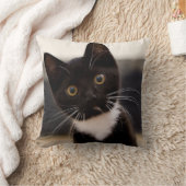 かわいい白黒タキシードの子ネコ クッション (ブランケット)