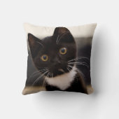 かわいい白黒タキシードの子ネコ クッション (裏面)