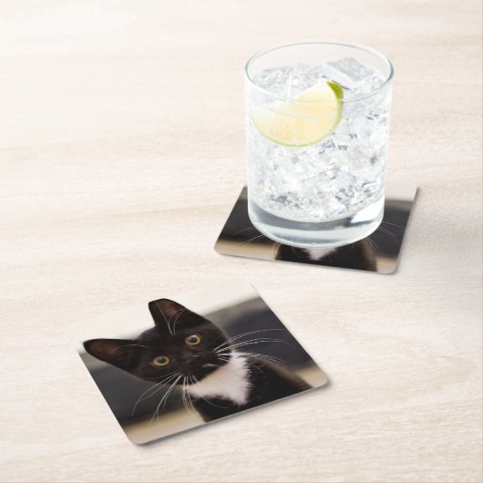 かわいい白黒タキシードの子ネコ スクエアペーパーコースター (インサイチュ)